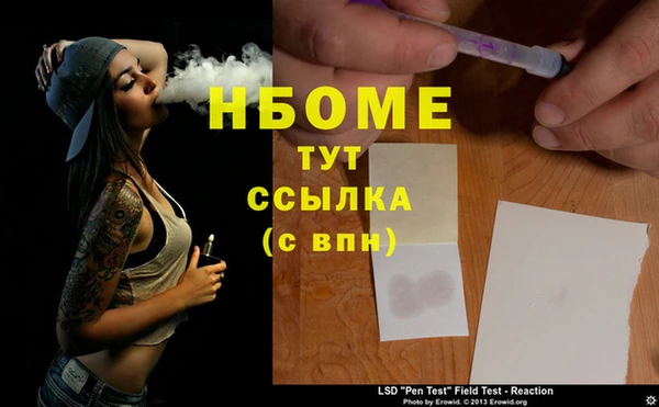 хмурый Алзамай