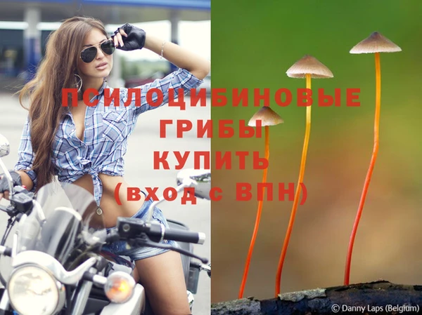 ГАЛЛЮЦИНОГЕННЫЕ ГРИБЫ Алексеевка