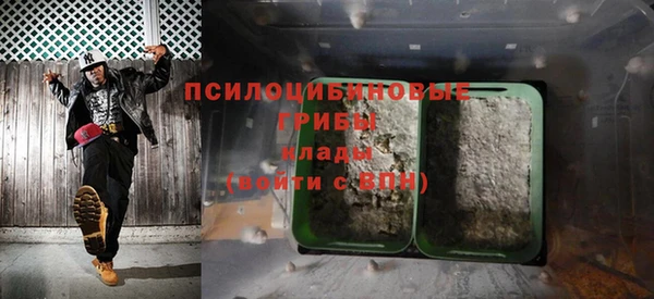 ГАЛЛЮЦИНОГЕННЫЕ ГРИБЫ Алексеевка