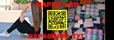 индика Кингисепп