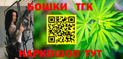 индика Кингисепп