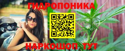 меф Кимры