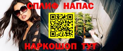 индика Кингисепп