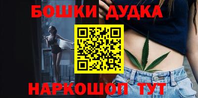 индика Кингисепп