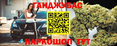 индика Кингисепп