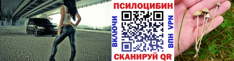 купить закладку  Калининград  Галлюциногенные грибы прущие грибы 