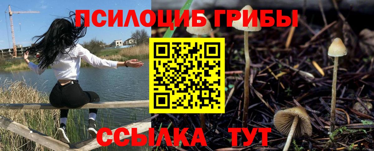 Псилоцибиновые грибы MAGIC MUSHROOMS Калининград