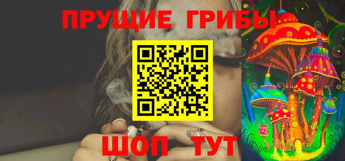 Псилоцибиновые грибы Psilocybe  Вход с VPN  Псилоцибиновые грибы Cubensis  Калининград 
